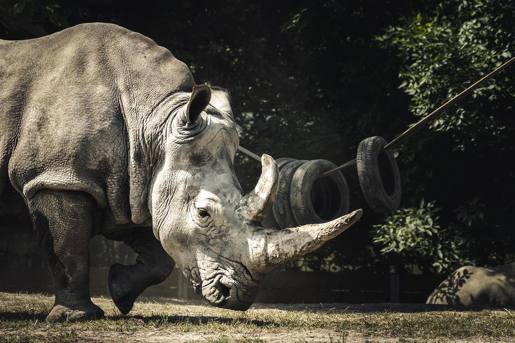 Community-based conservation approaches icon