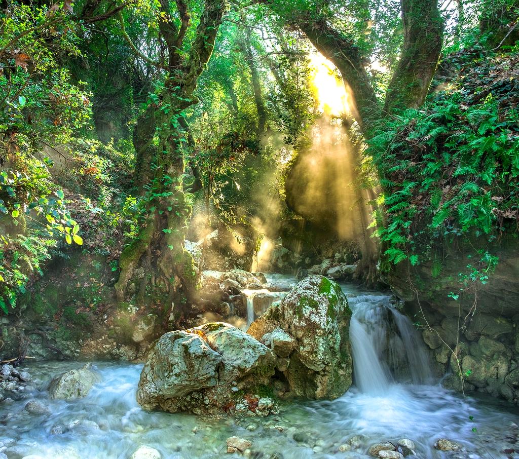 Beautiful natural landscape with forest and waterfall