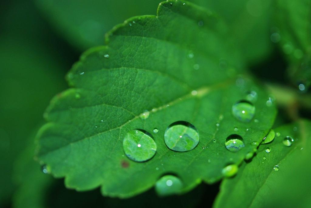 Water conservation icon